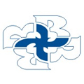 Logo Centro de Estudios Técnicos y Superiores Bauhaus