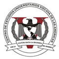 Universidad Vizcaya de las Américas