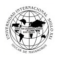 Universidad Internacional Siglo XXI