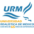 Universidad Realistica de México
