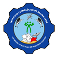 Instituto Tecnológico de Salina Cruz